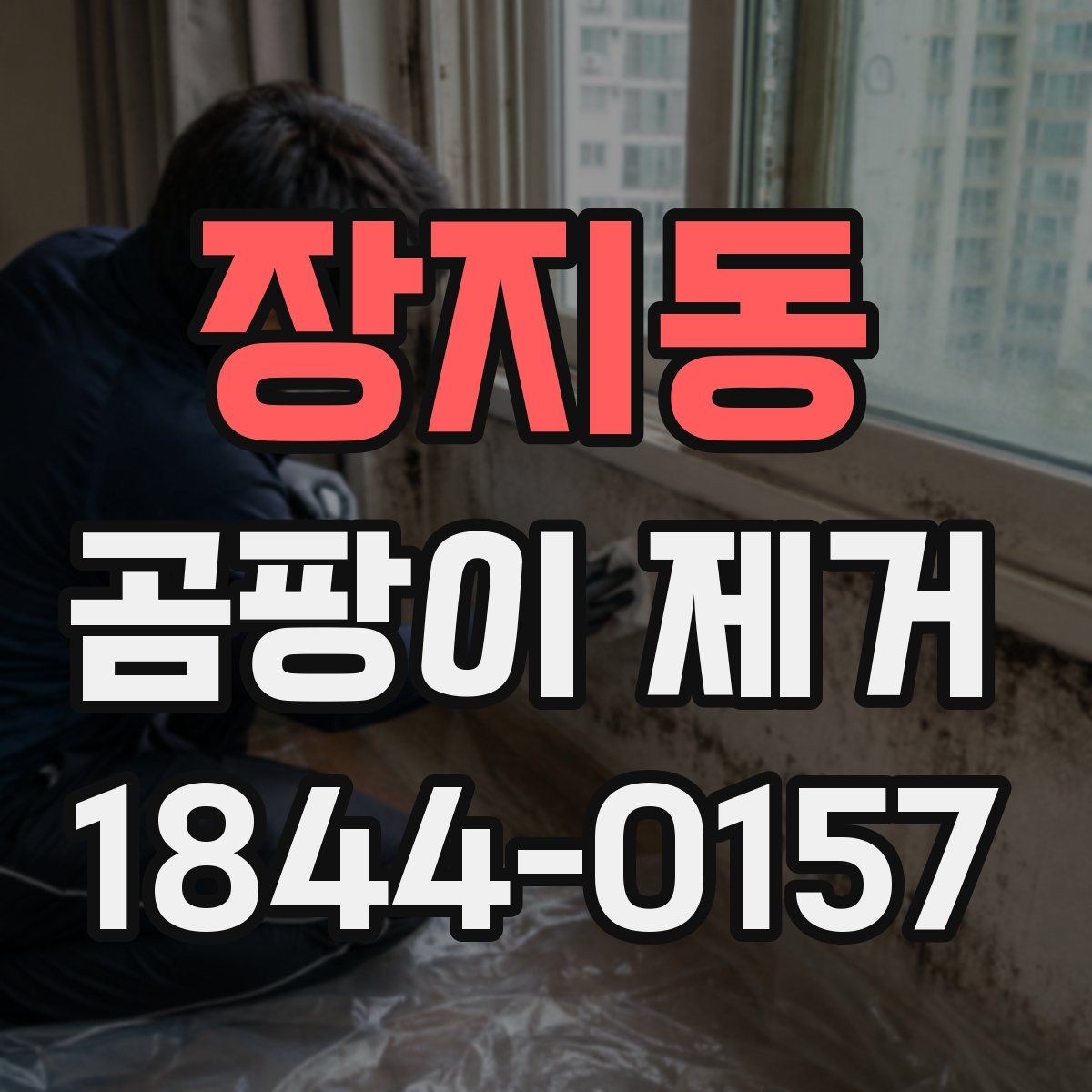 장지동 곰팡이 제거