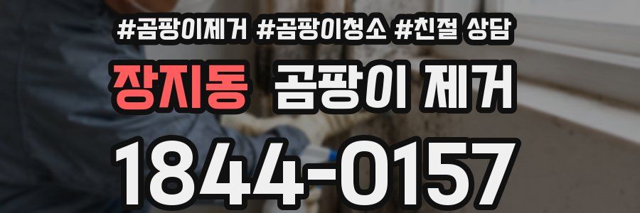 장지동 곰팡이 제거