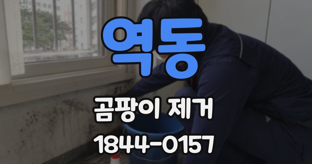 역동 곰팡이 제거