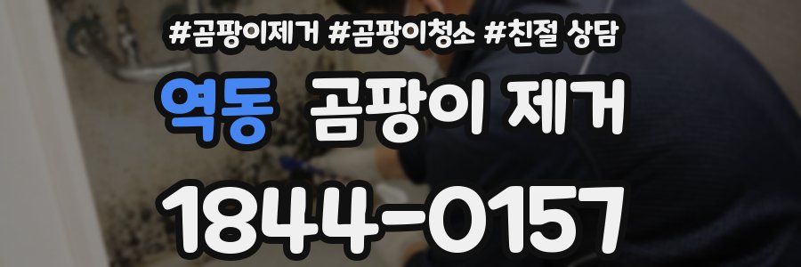 역동 곰팡이 제거