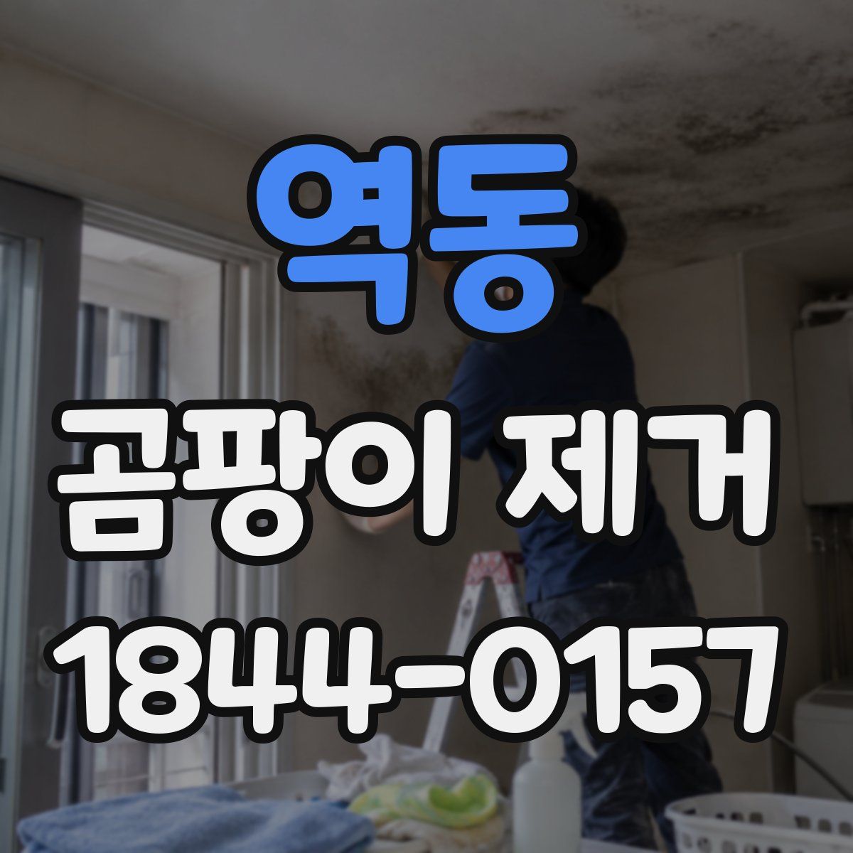 역동 곰팡이 제거