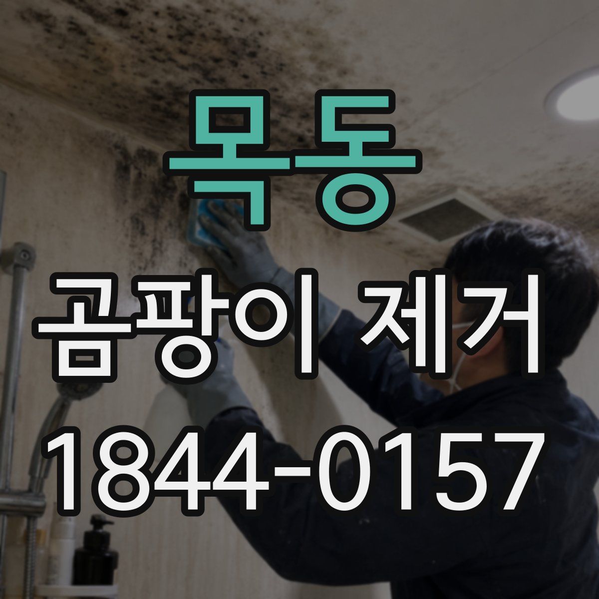 목동 곰팡이 제거