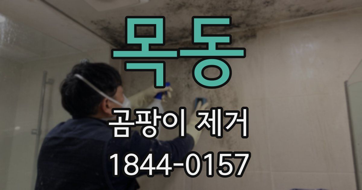 목동 곰팡이 제거