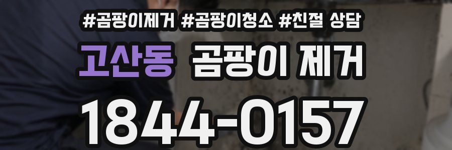 고산동 곰팡이 제거