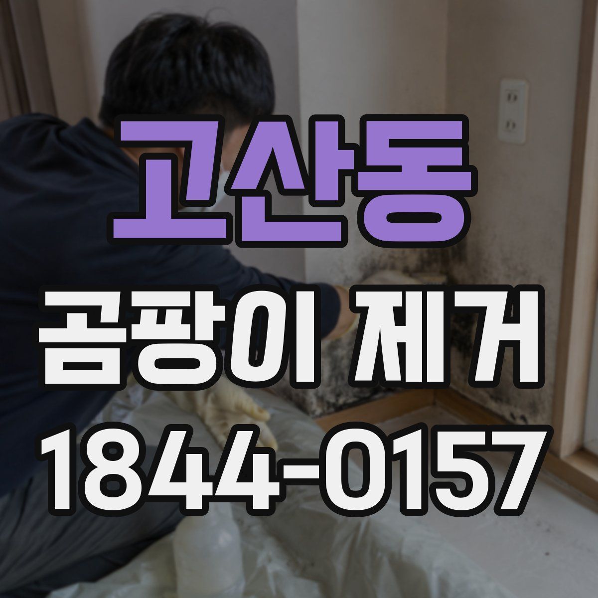 고산동 곰팡이 제거