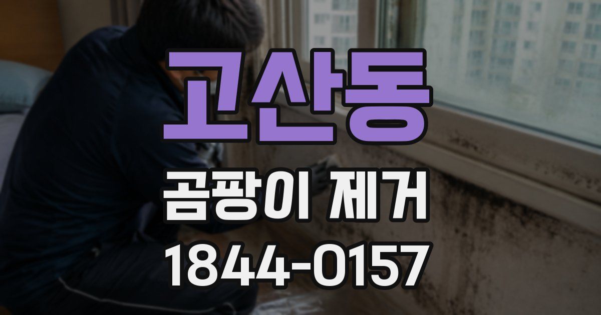 고산동 곰팡이 제거