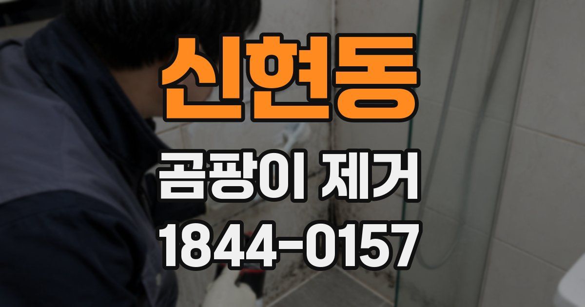 신현동 곰팡이 제거