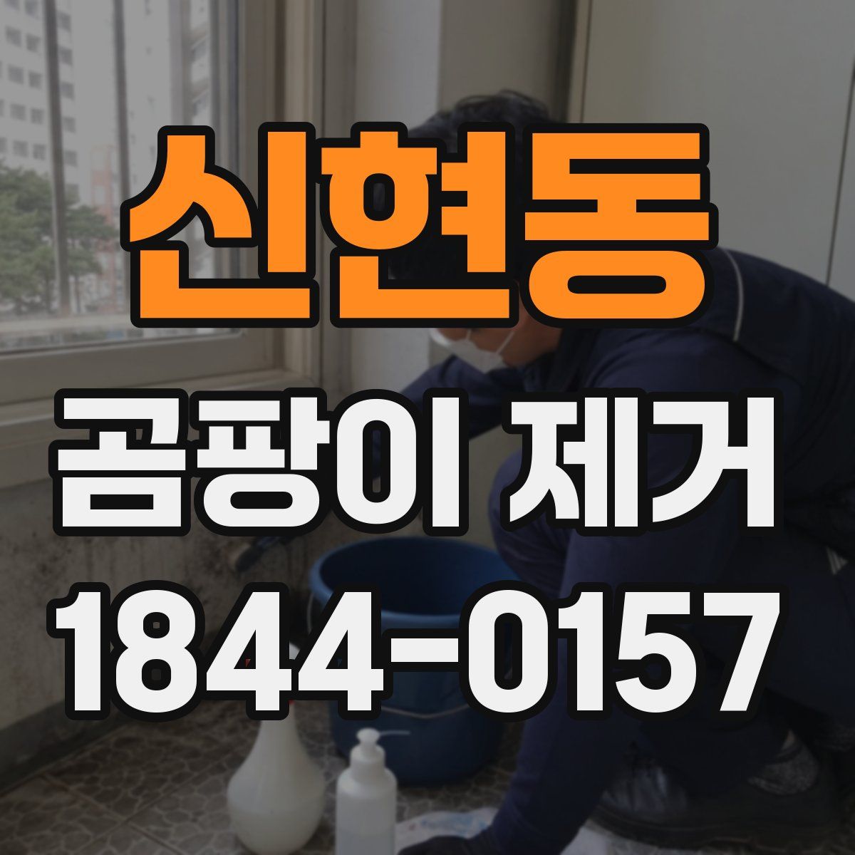 신현동 곰팡이 제거