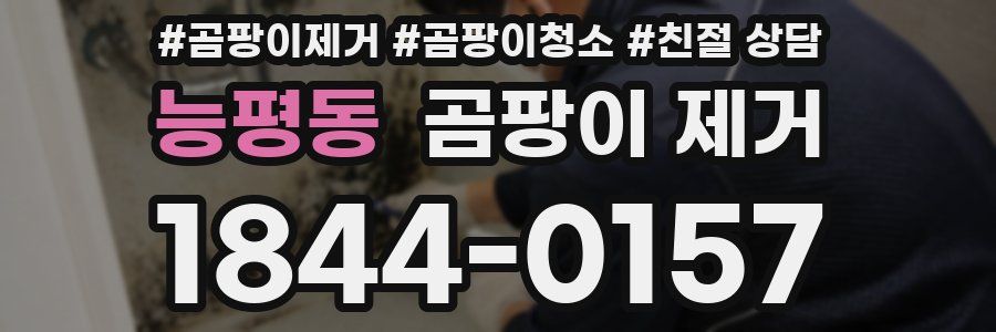 능평동 곰팡이 제거