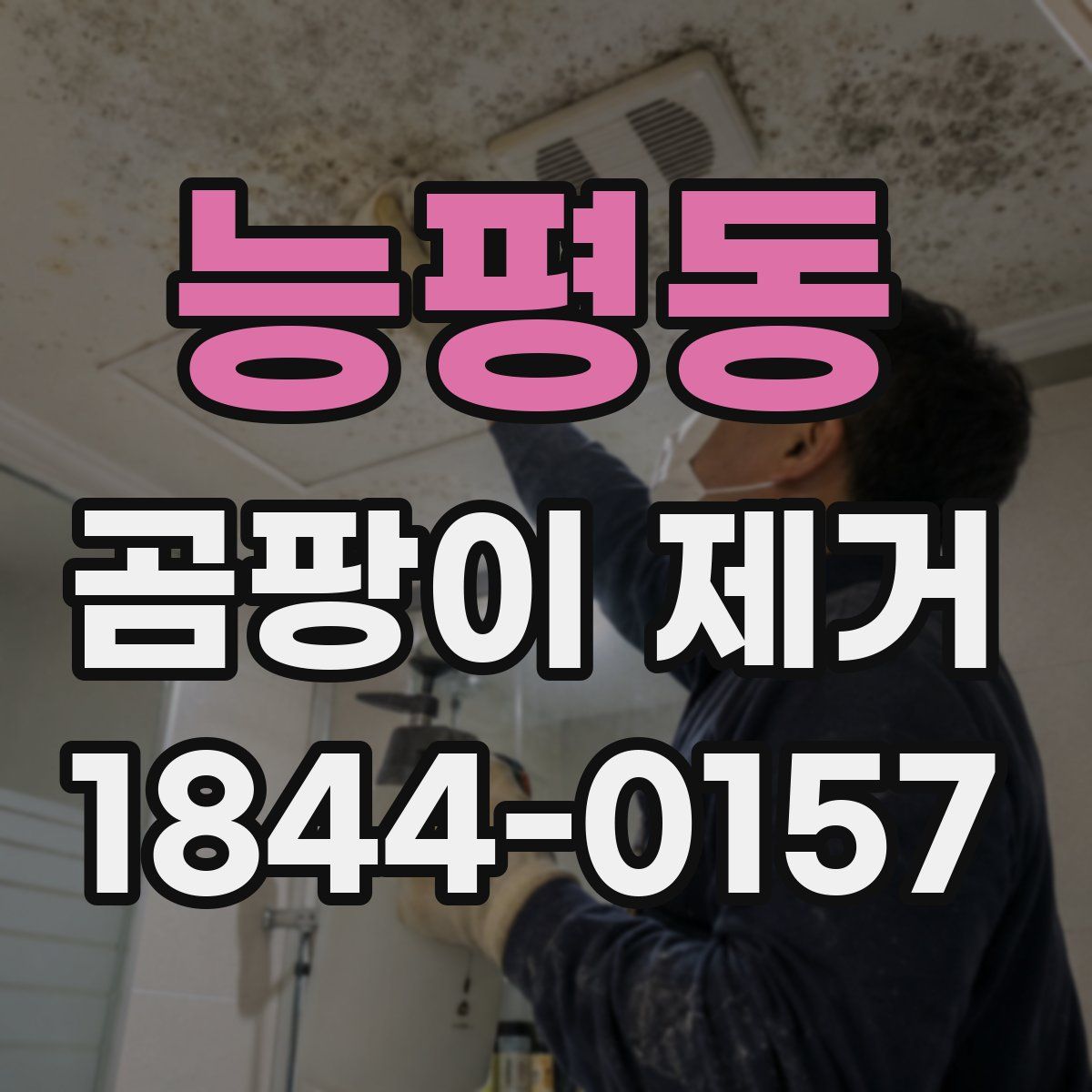 능평동 곰팡이 제거