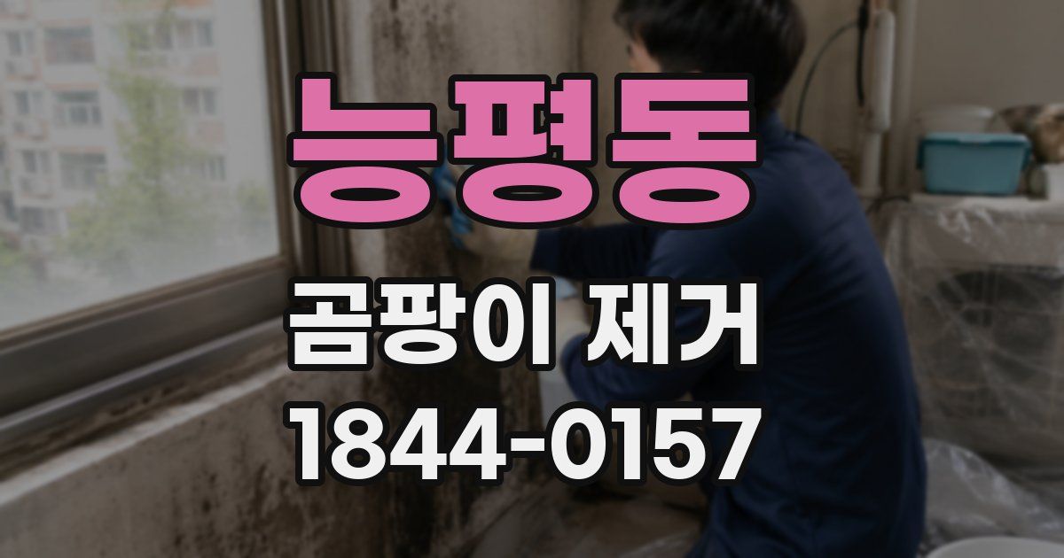 능평동 곰팡이 제거
