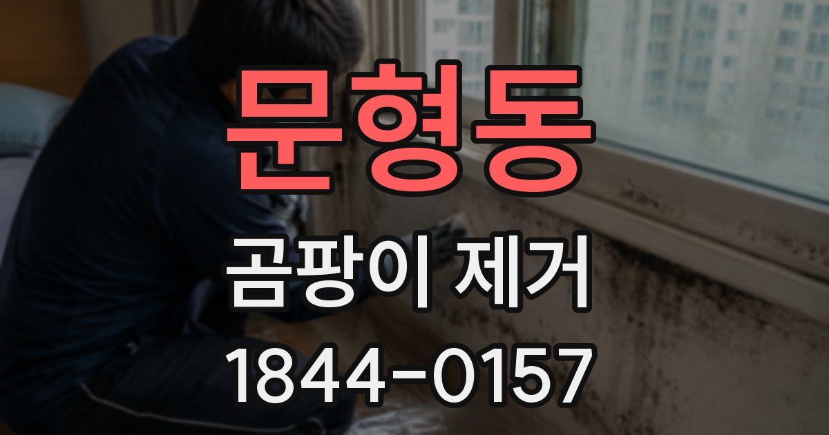 문형동 곰팡이 제거