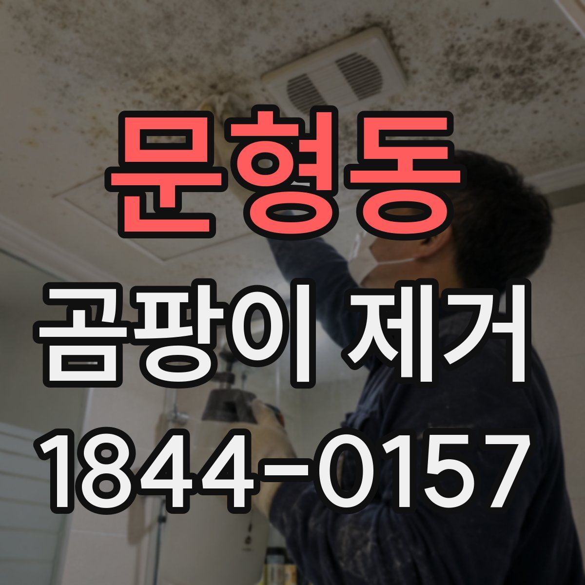 문형동 곰팡이 제거