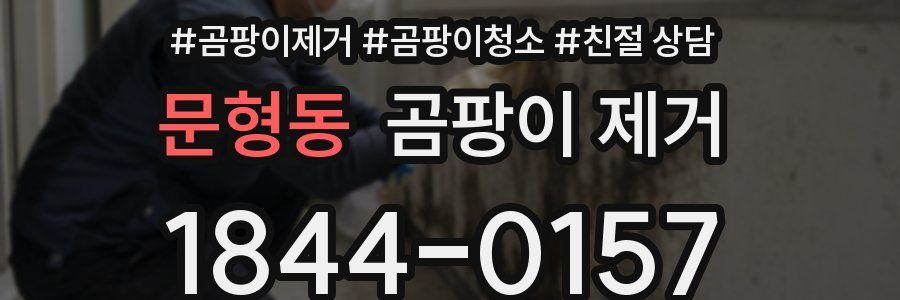 문형동 곰팡이 제거