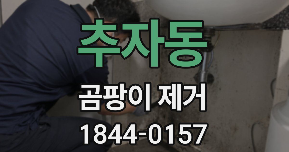 추자동 곰팡이 제거
