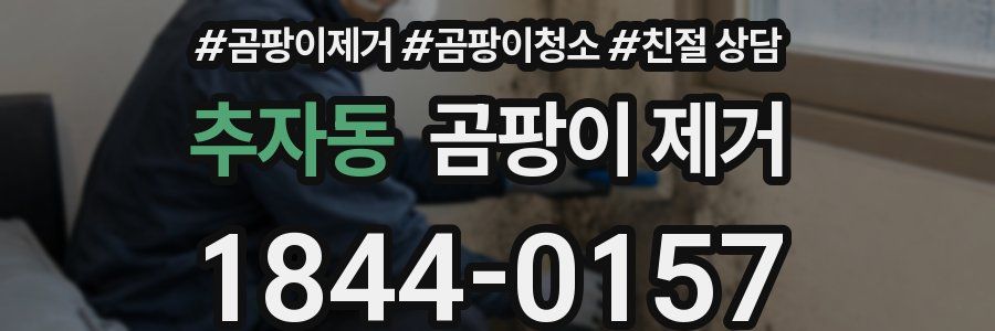 추자동 곰팡이 제거