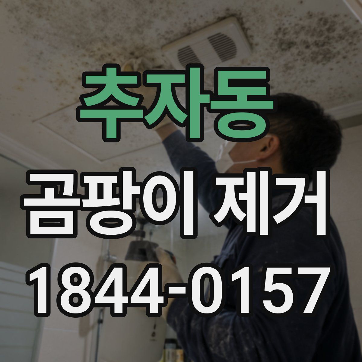 추자동 곰팡이 제거