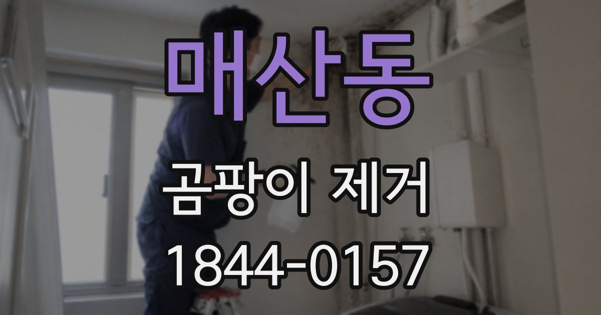 매산동 곰팡이 제거