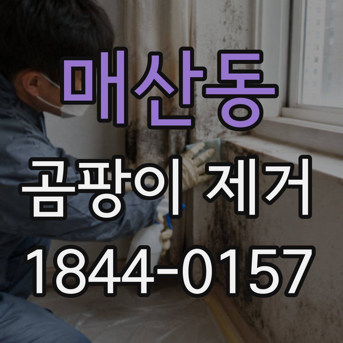 매산동 곰팡이 제거