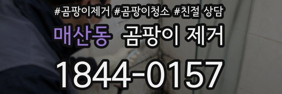 매산동 곰팡이 제거