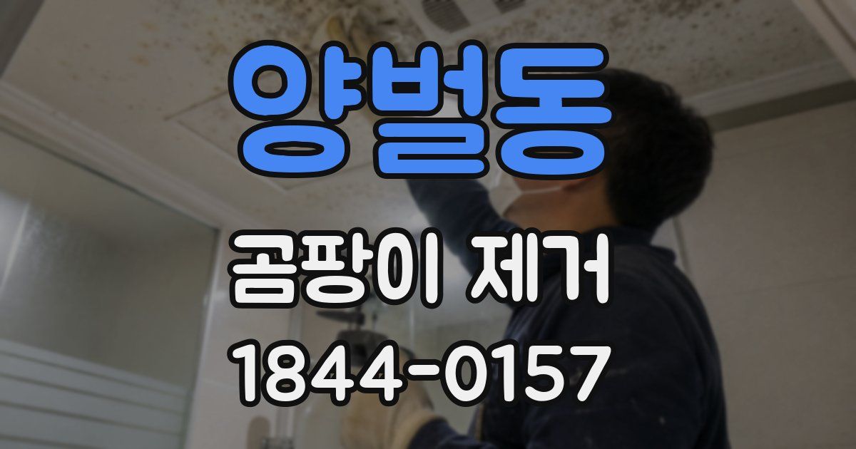 양벌동 곰팡이 제거
