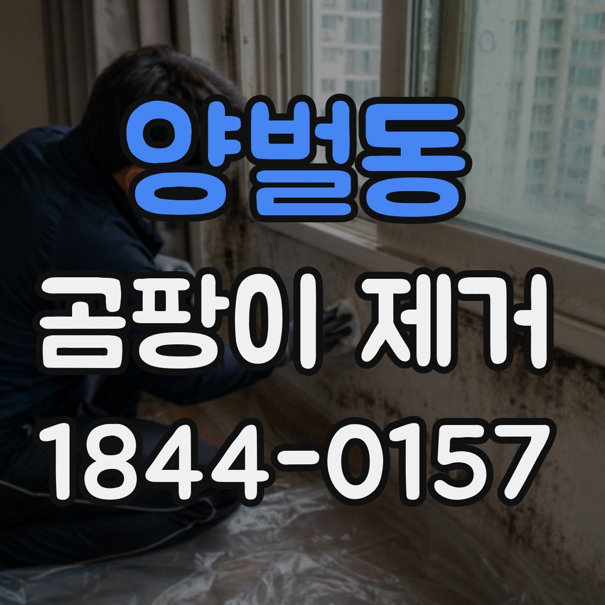 양벌동 곰팡이 제거