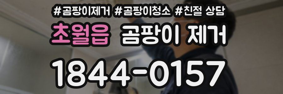 초월읍 곰팡이 제거