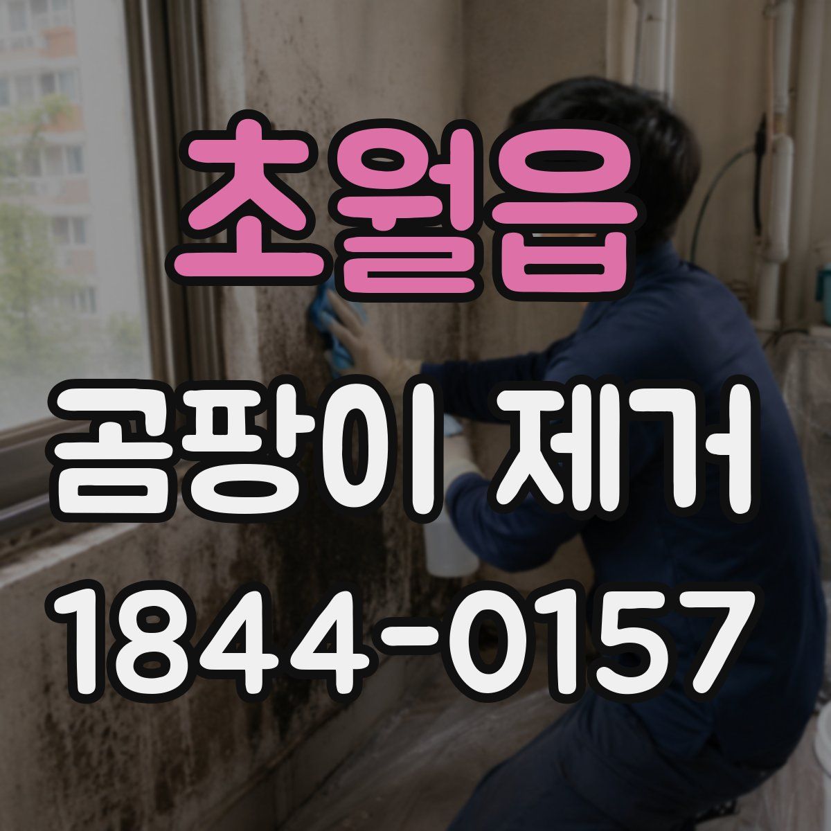 초월읍 곰팡이 제거