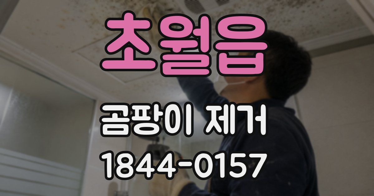 초월읍 곰팡이 제거