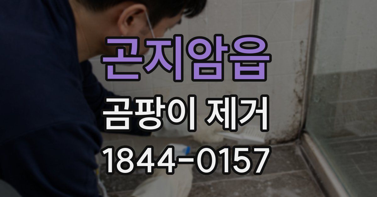 곤지암읍 곰팡이 제거