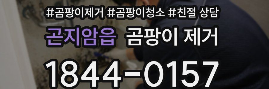 곤지암읍 곰팡이 제거
