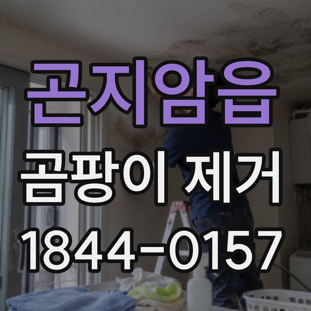 곤지암읍 곰팡이 제거