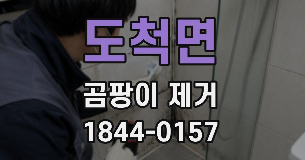 도척면 곰팡이 제거