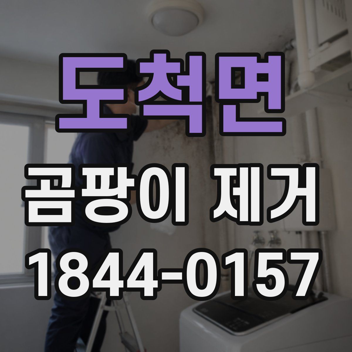 도척면 곰팡이 제거