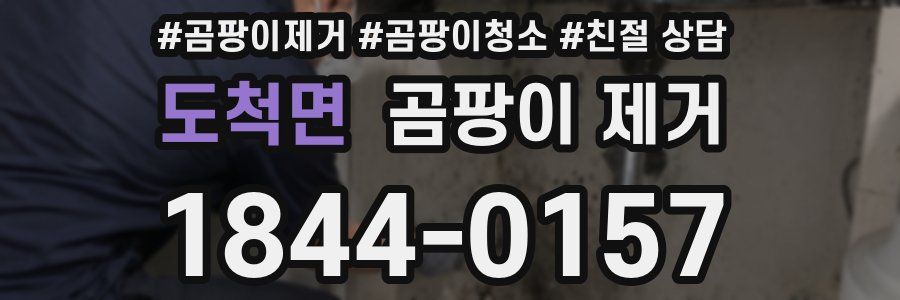 도척면 곰팡이 제거