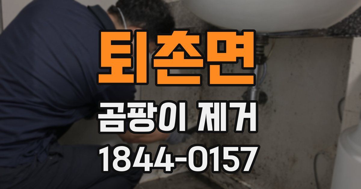 퇴촌면 곰팡이 제거