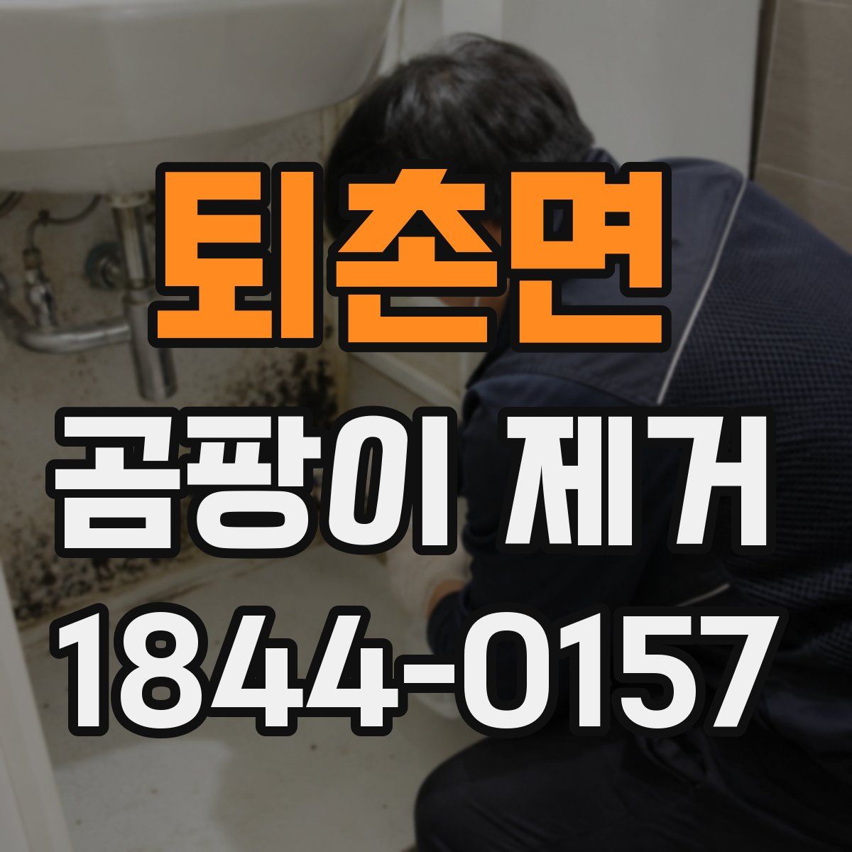 퇴촌면 곰팡이 제거