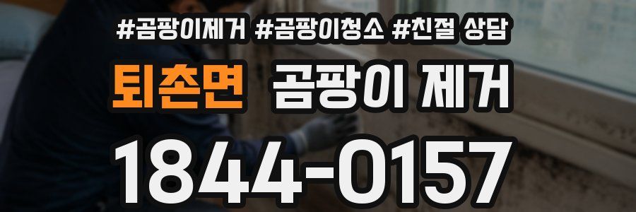 퇴촌면 곰팡이 제거