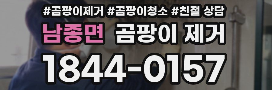 남종면 곰팡이 제거