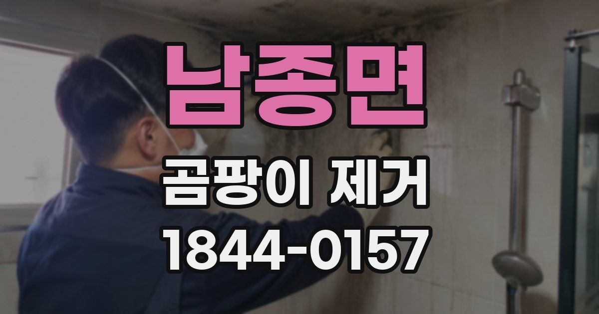 남종면 곰팡이 제거