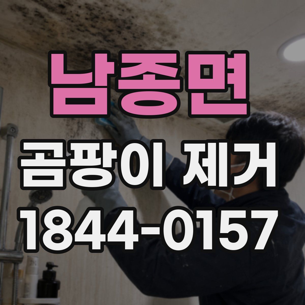 남종면 곰팡이 제거