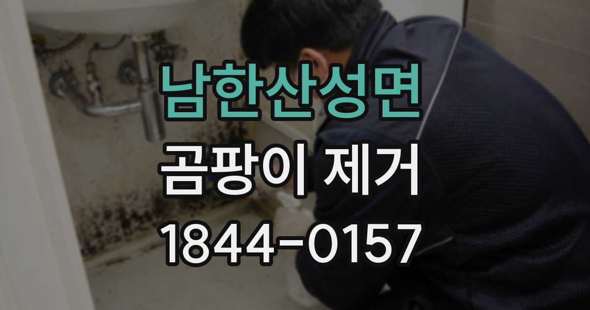 남한산성면 곰팡이 제거