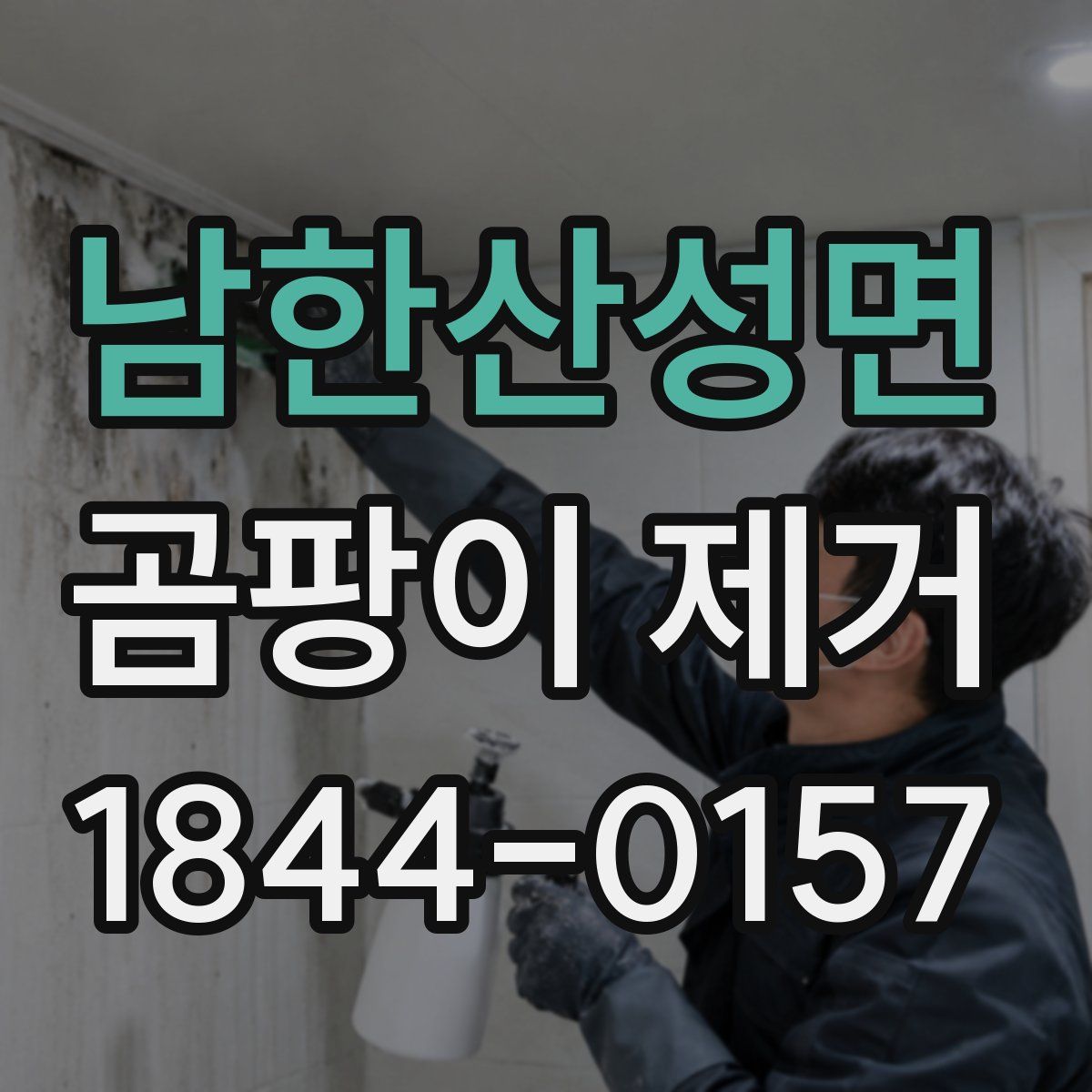 남한산성면 곰팡이 제거