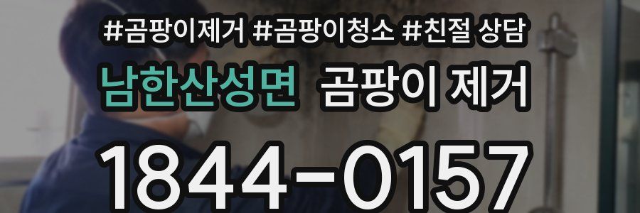 남한산성면 곰팡이 제거