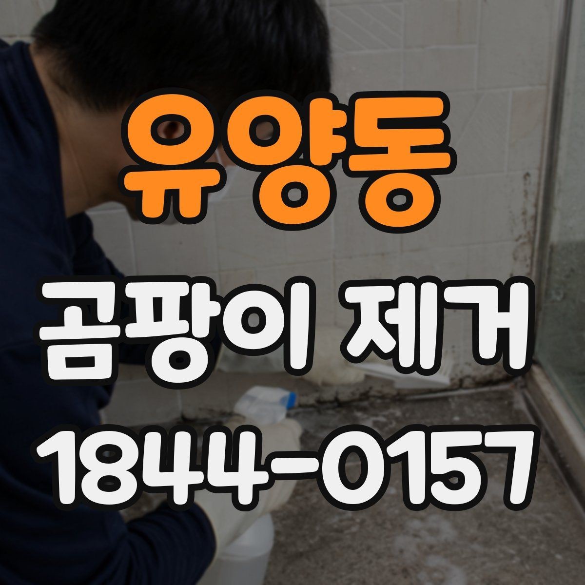 유양동 곰팡이 제거 상담에서 자주 묻는 질문 정리