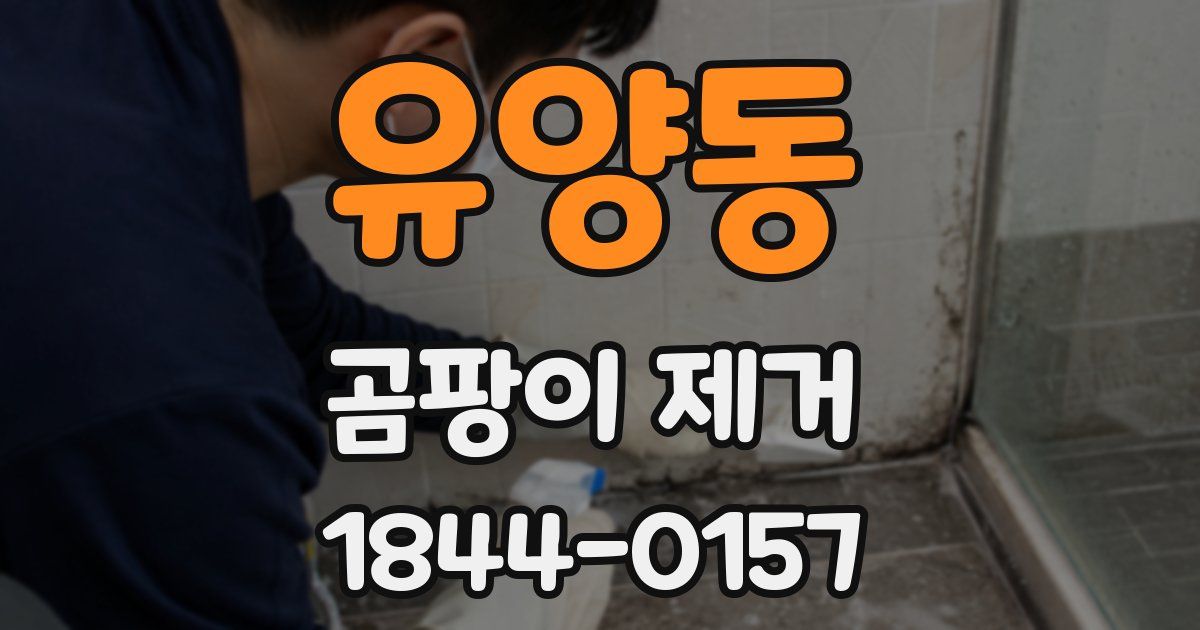 유양동 곰팡이 제거