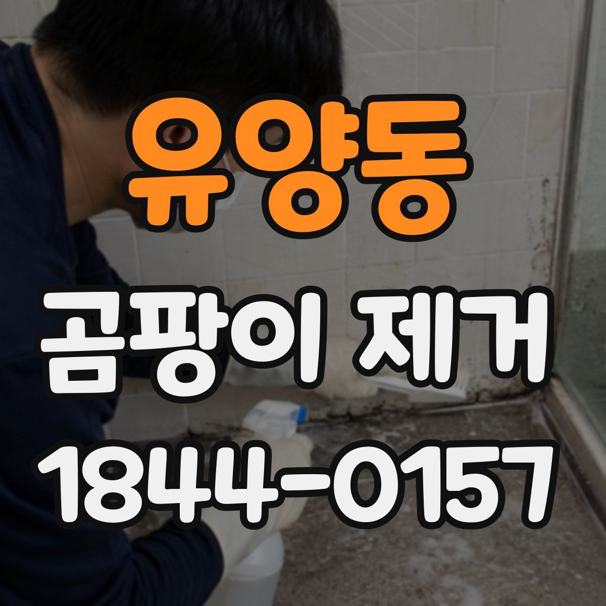 유양동 곰팡이 제거