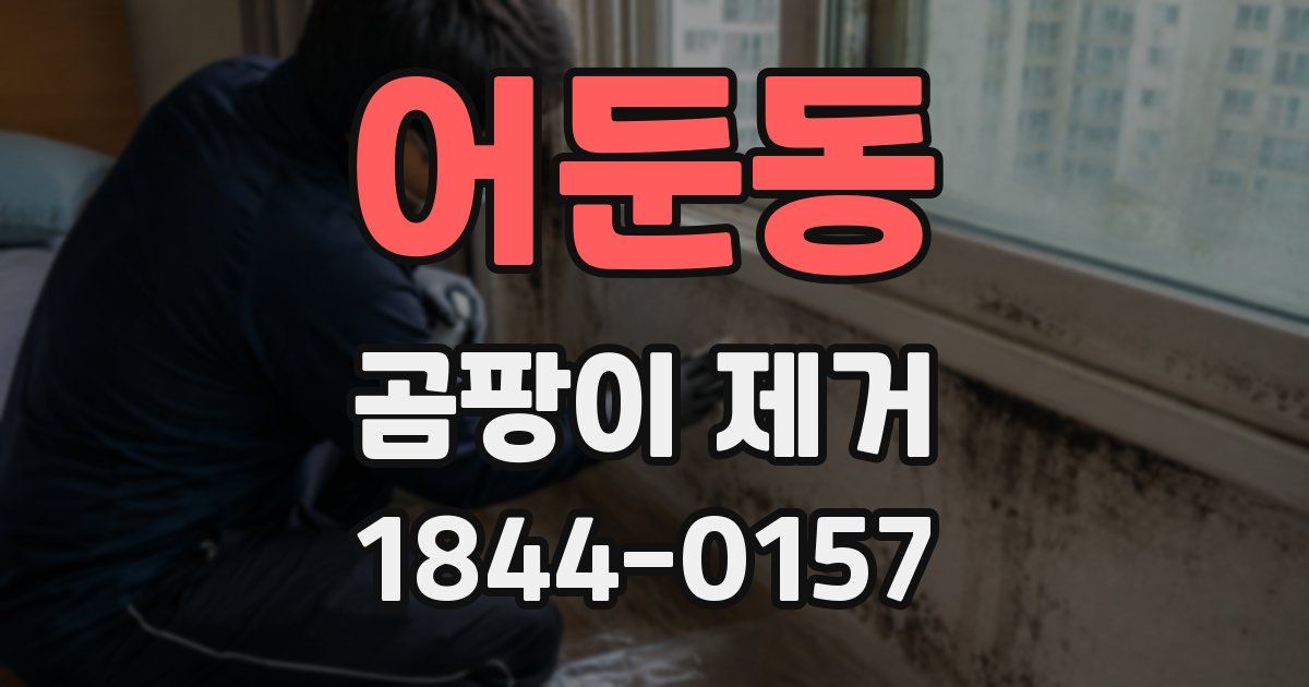 어둔동 곰팡이 제거