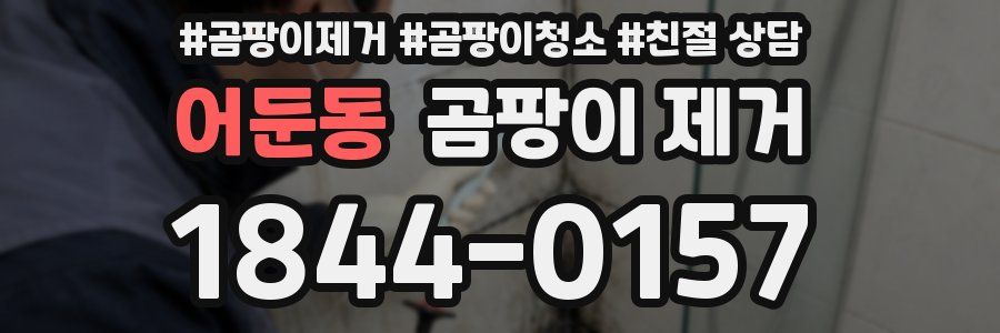 어둔동 곰팡이 제거
