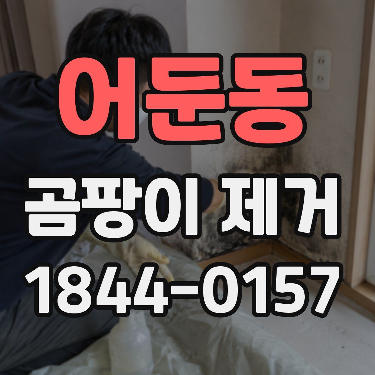 어둔동 곰팡이 제거